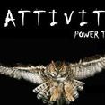 Attività Power Trio