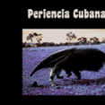 Periencia Cubana