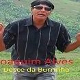 Joaquim Alves