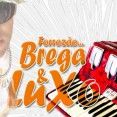 Forrozao brega e Luxo