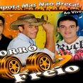 Forró 100 Freio