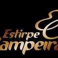 GRUPO ESTIRPE CAMPEIRA