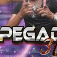 pegada 3d