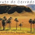 Fruto do Cerrado