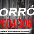 Forro Predador