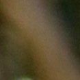 Adelino Martins