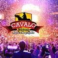 forró cavalo de morão