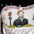 boi novilho branco