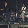 The Noble Jackal's