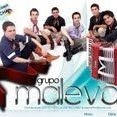 Grupo Maleva Oficial