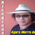 Nico Brega