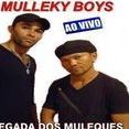 Forró Mulleky Boys