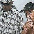 conselheiros mcs