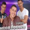 forró xamego fogozo