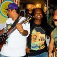 Semente Roots