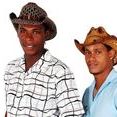 Laço de Ouro