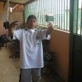 MELODIA CRIMINAL