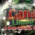 Forró Cana com Limão