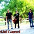 Old Camel