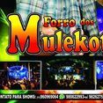 forro dos mulekoty