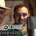 Amarildo & Alexandre