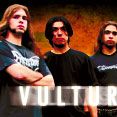 Vulture