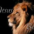 jesusboys
