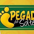 Pegada de Solteiro