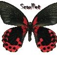 Scarllet