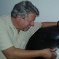 BORGES DA VIOLA II