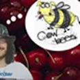 Cow Bees