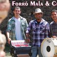 Forró Mala & Cuia