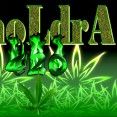 Choldra 4;20