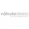 Válvula De Escape