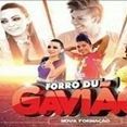 BandaForróduGavião