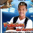 Falcões Do Arrocha Voando mais alto
