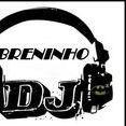 brenner allan