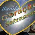 Banda Coração Selvagem