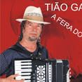 tiao gaviao a fera do forro