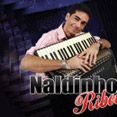 Naldinho Ribeiro - Forró Pé de Serra