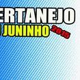 DJ JUNINHO SERTANEJO