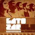 Gato Zarolho
