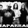 Chaparral