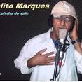 zelito marques o caçulinha do vale