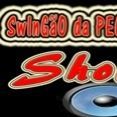 CARNAVAL BANDA FORRO PEGADA SHOW
