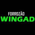 Forrozão Swingado