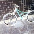 ousados equipe baki