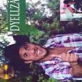 Dyellzão Lorota