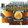 PEDAGIO BAIANO a banda dos paredoes