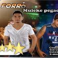 ForroMulekePegador